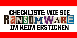 Download Checkliste Ransomware