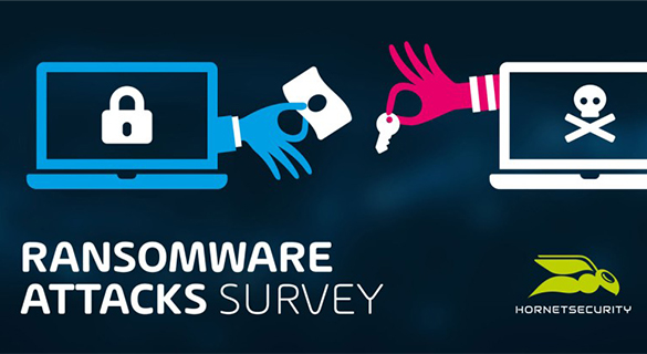 „Over 1 in every 5 companies falls victim to ransomware attacks“
